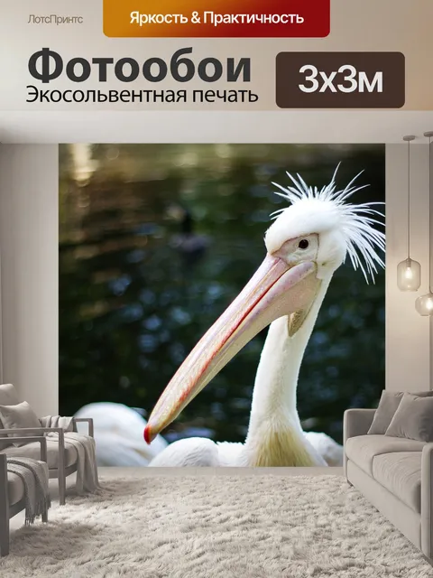 Фотообои Птицы