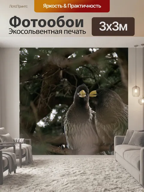 Фотообои Любовь Птицы