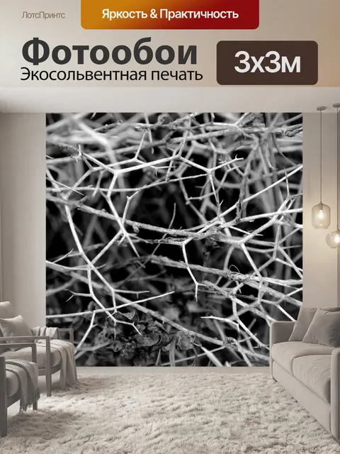 Фотообои Шипы