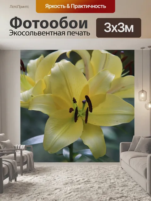 Фотообои Цветы