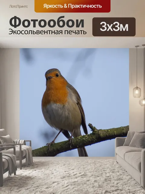 Фотообои Птицы