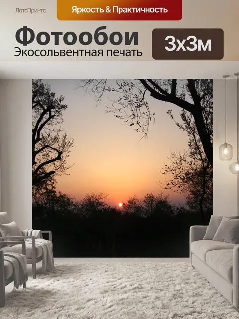 Фотообои Закат