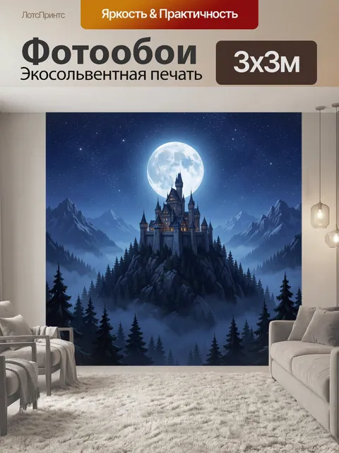 300 × 300 см · Экосольвентная печать