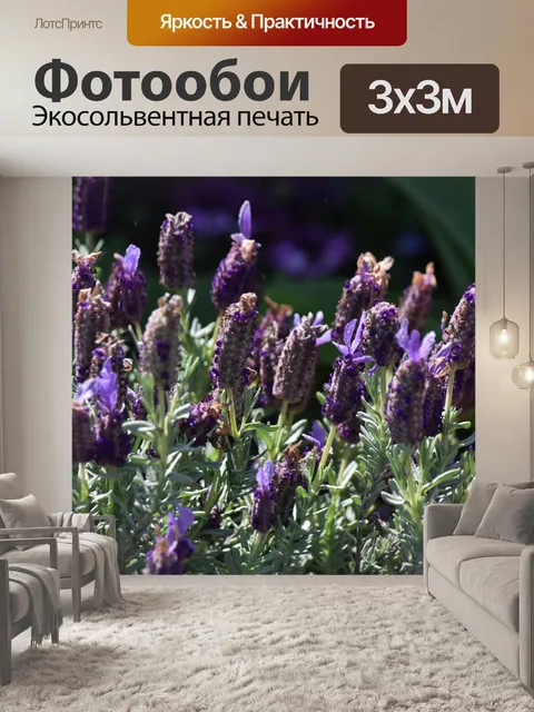 Фотообои Фиолетовые цветы лаванды