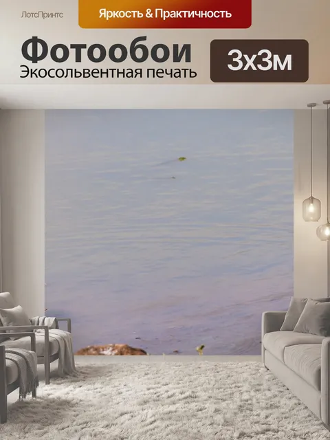 Фотообои Птицы