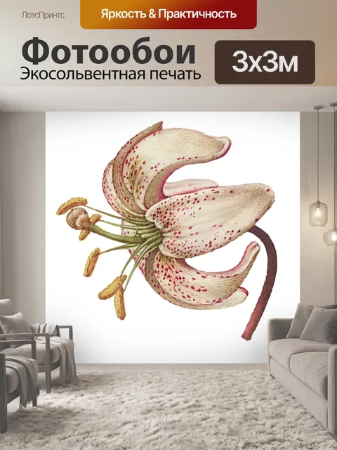 Фотообои Стикер цветы винтаж арт