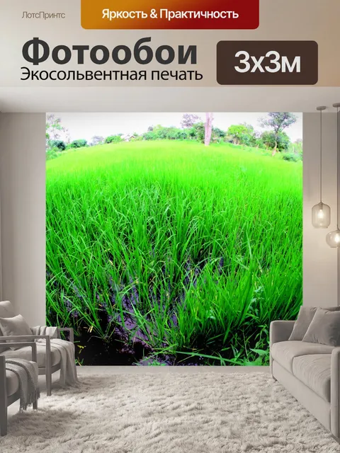 Фотообои Зеленая Рисовая Ферма