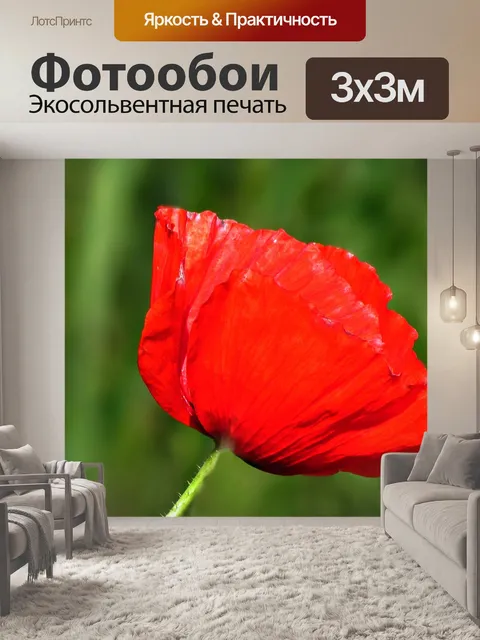 Фотообои Поле