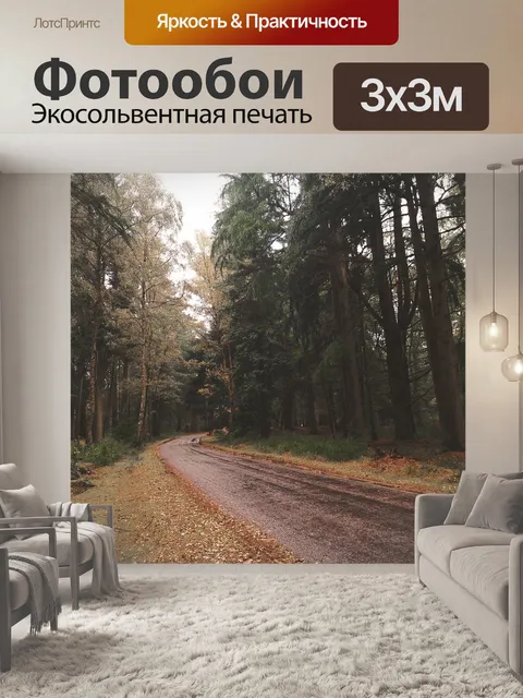 Фотообои Дорога