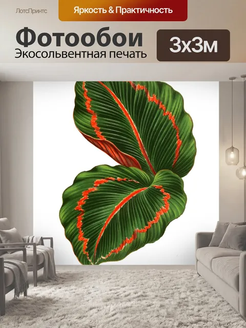 Фотообои Листва лист растение прозрачный