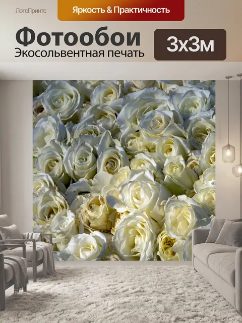 Фотообои Белая роза фон