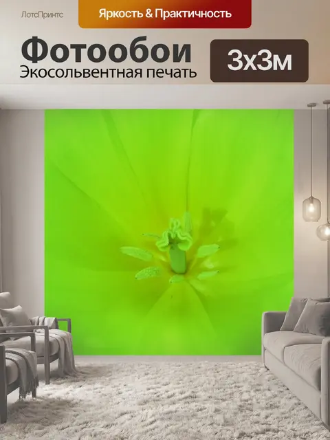 Фотообои Листья