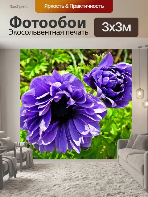 Фотообои Анемоны