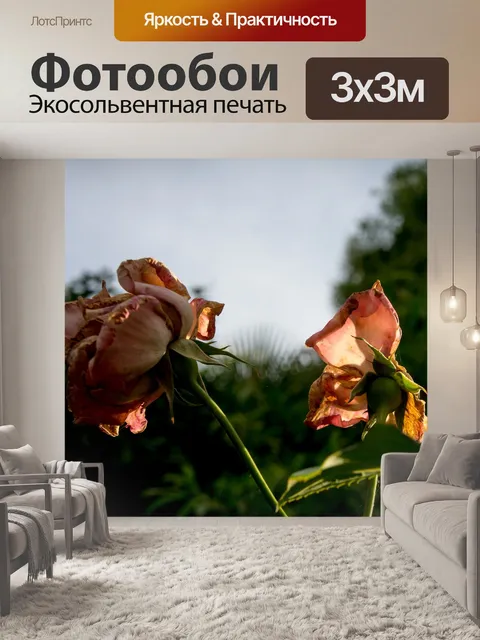Фотообои Розовый