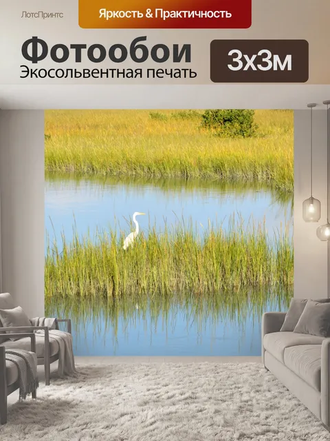 Фотообои Белая цапля
