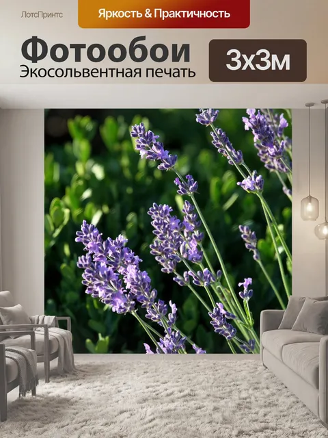 Фотообои Лаванда