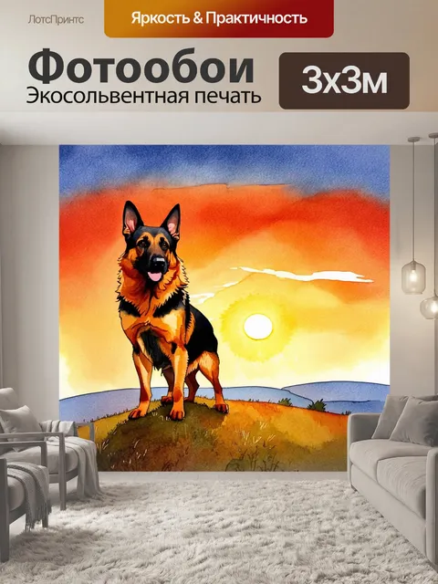 Фотообои описание: изображение немецкой овчарки, стоящей на вершине холма с видом на закат