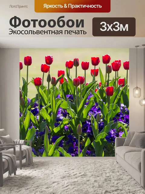Фотообои Тюльпаны