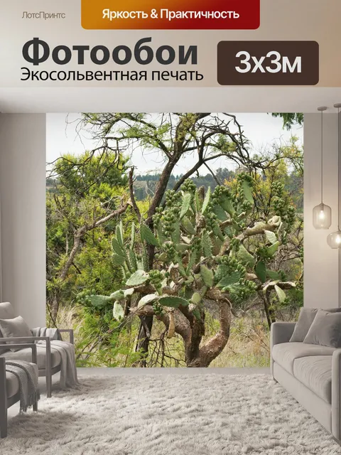 Фотообои колючая груша