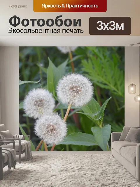 Фотообои Осот огородный