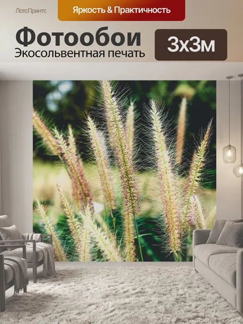 Фотообои дикие цветы, Таиланд