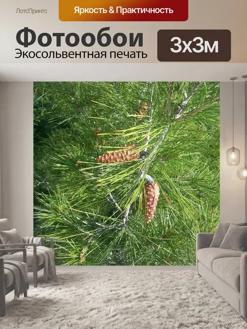 Фотообои Цветы