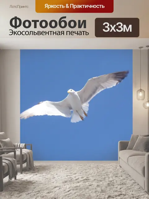 Фотообои Птица