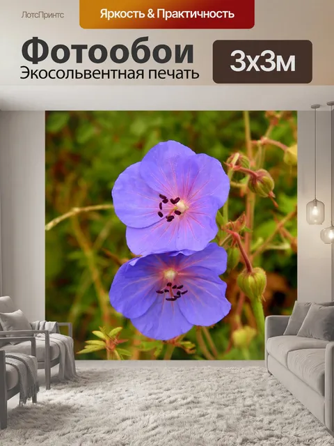 Фотообои Леса