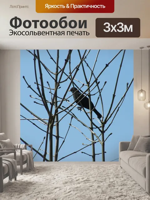 Фотообои Птица
