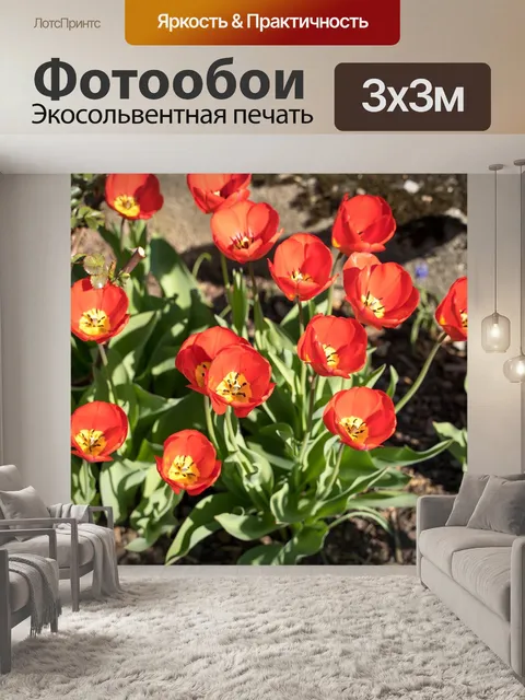 Фотообои Тюльпаны