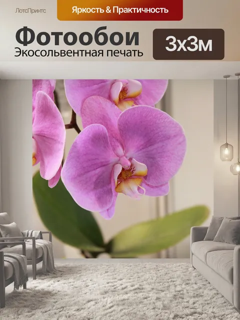 Фотообои Цветок