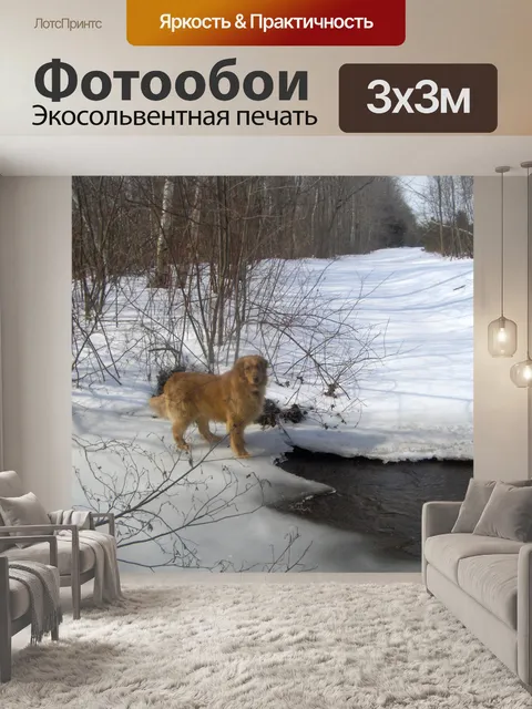 Фотообои Рикки Золотистый ретривер (2)
