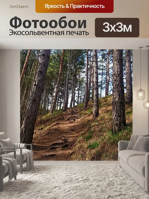 Фотообои Дорога