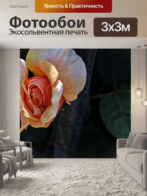 Фотообои Деликатный Оранжевый Rosebud