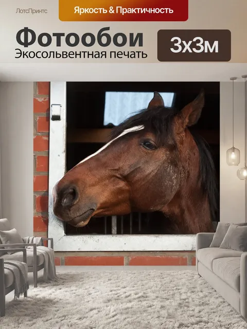 Фотообои Лошадь