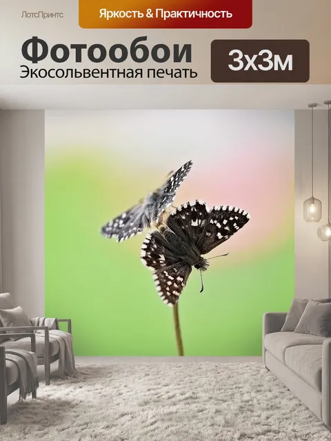 Фотообои Бабочки
