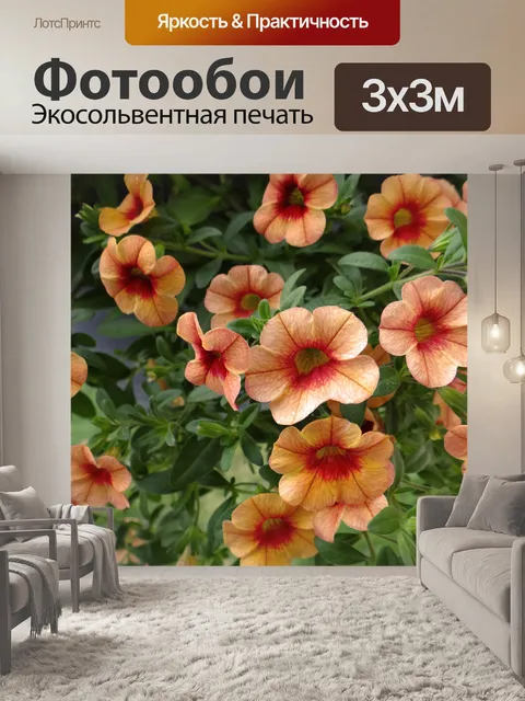 Фотообои Два петунии Tone
