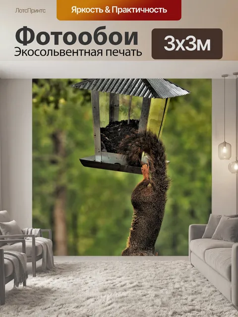 Фотообои Белка, висящая вверх дном