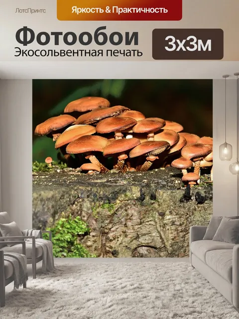 Фотообои Лес