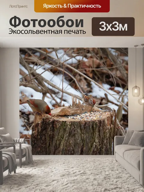 Фотообои Природа