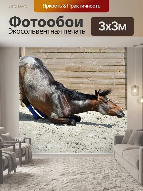 Фотообои Лошадь
