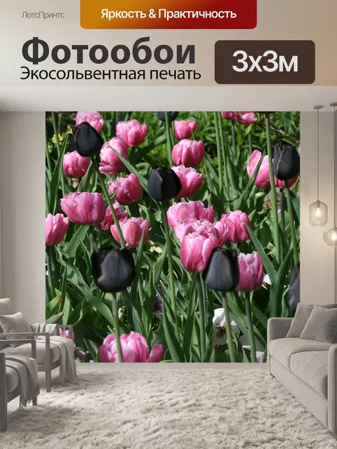 Фотообои Тюльпаны