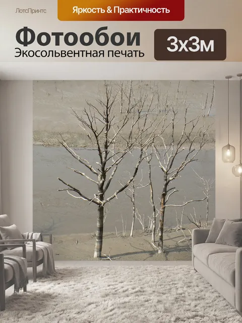 Фотообои Сухое дерево