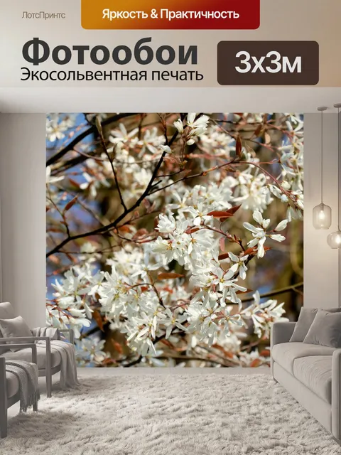 Фотообои Розовый