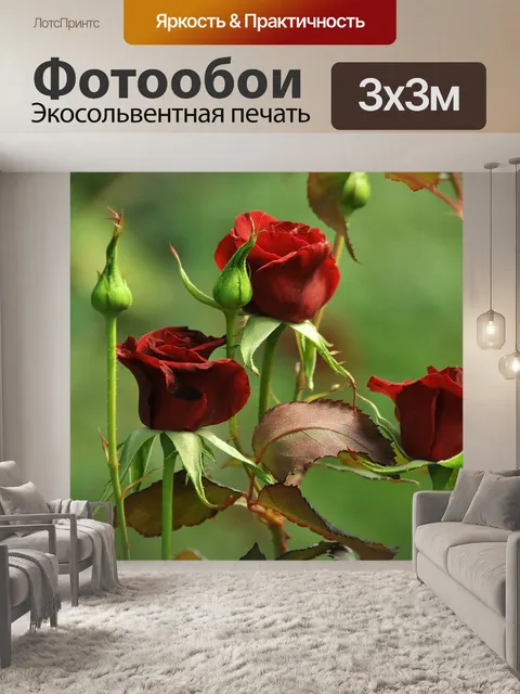 Фотообои Бордовый