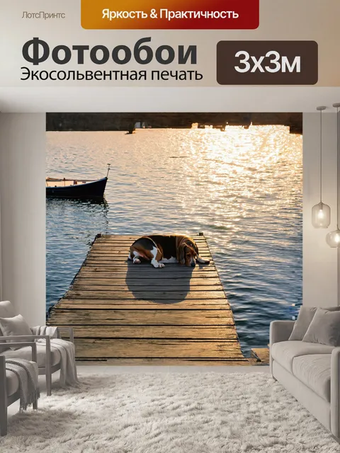 Фотообои маленькая гавань с лодками, где бассет дремлет на деревянном причале, а лучи заката отражаются в воде