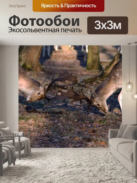 Фотообои Олень
