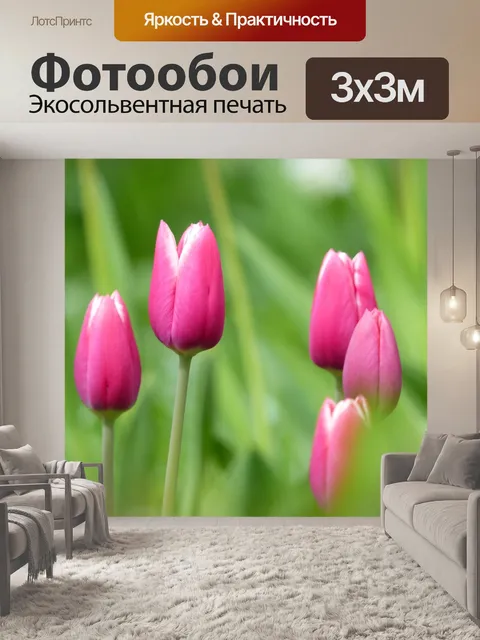 Фотообои Тюльпаны