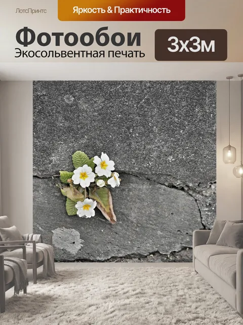 Фотообои Первоцвет