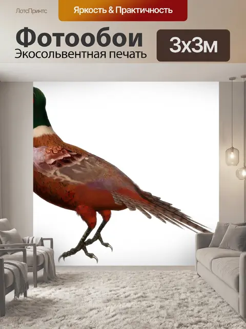 Фотообои Птица